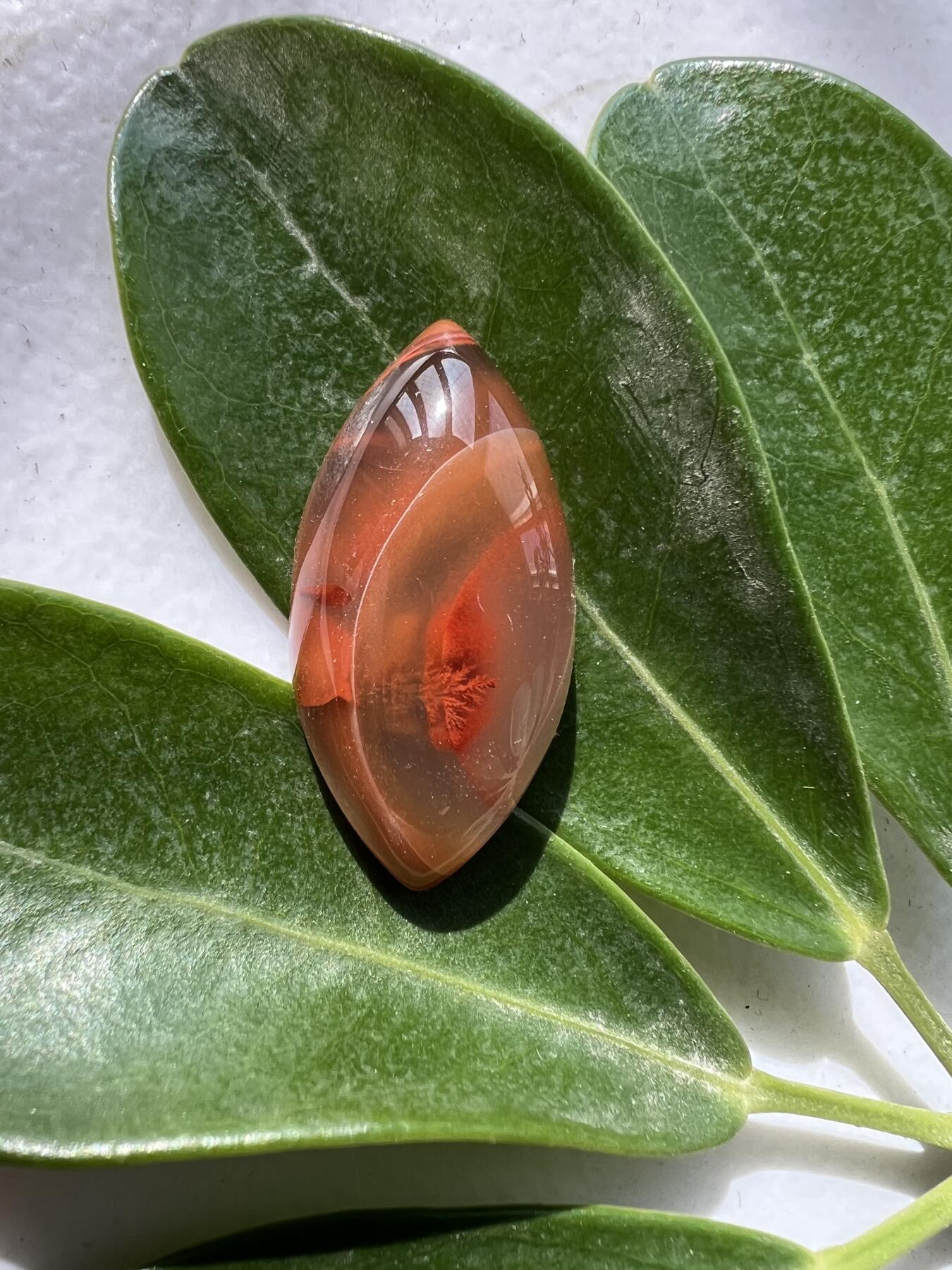 零元拍：南红玛瑙蛋面，有漂亮的草花。都是十多年前的存货了，长约 31MM，宽约 15MM，厚约 8MM约6克 ，因为拍照环境以及光线的变化，颜色以实物为准。