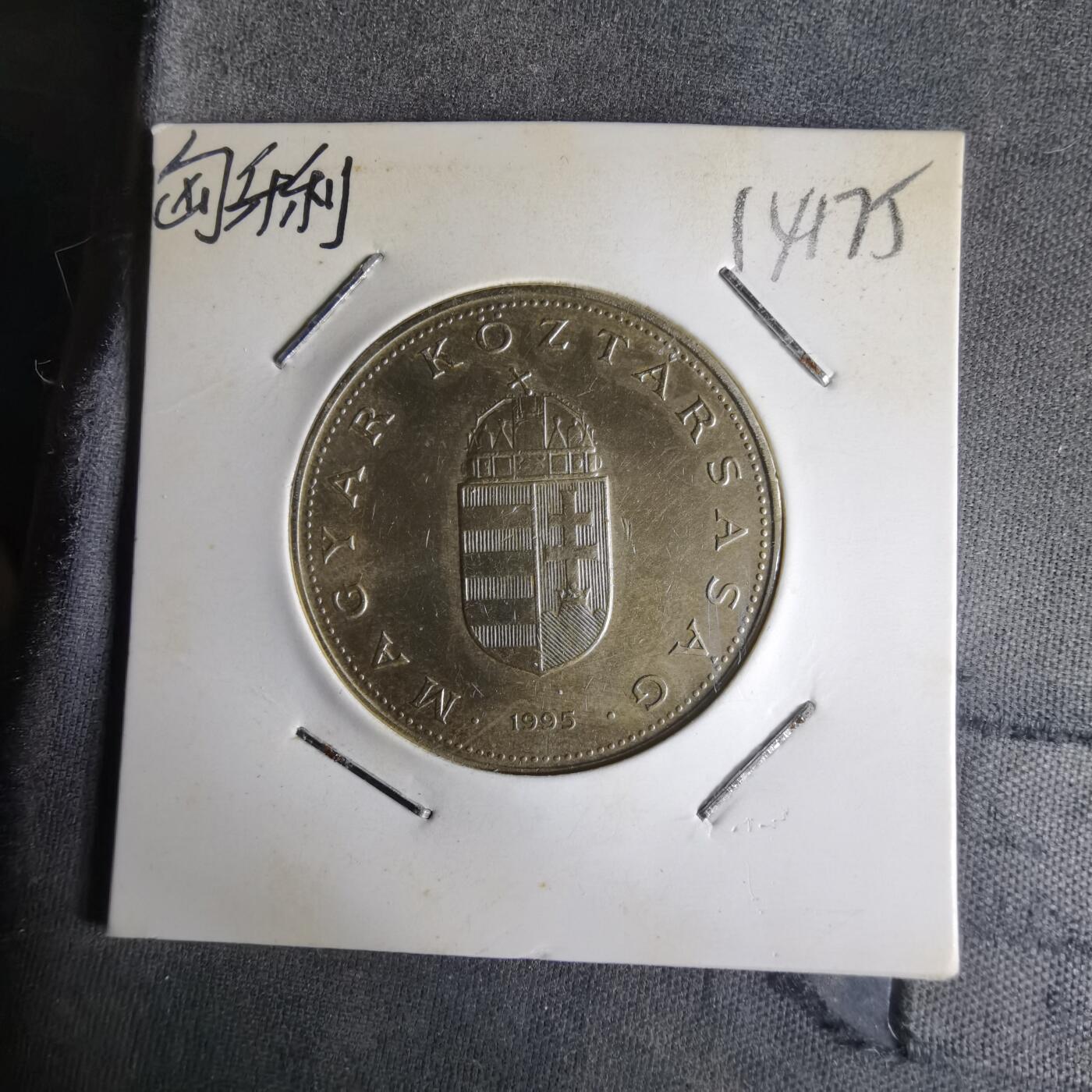 沼泽如烟--第1014场