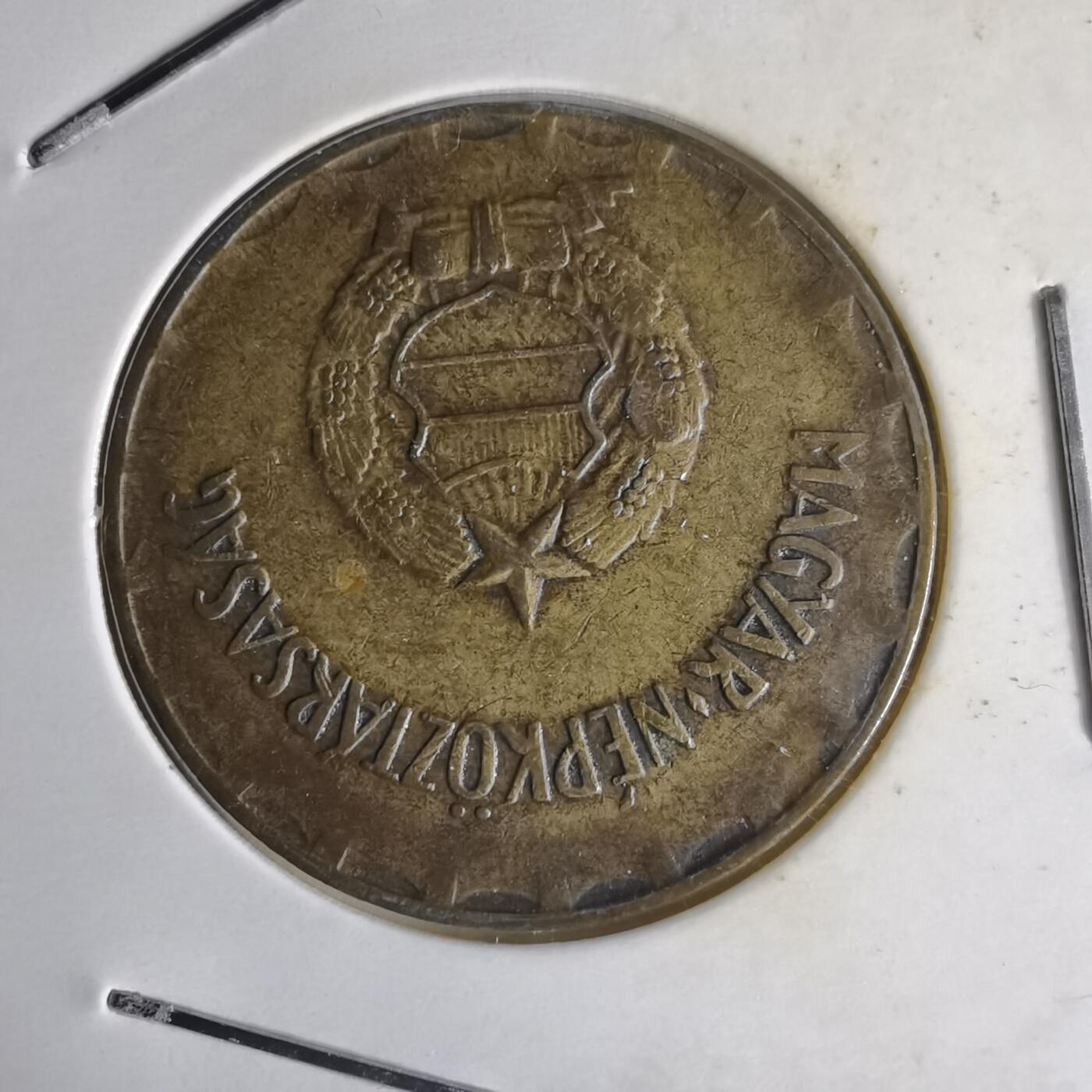 沼泽如烟--第1014场