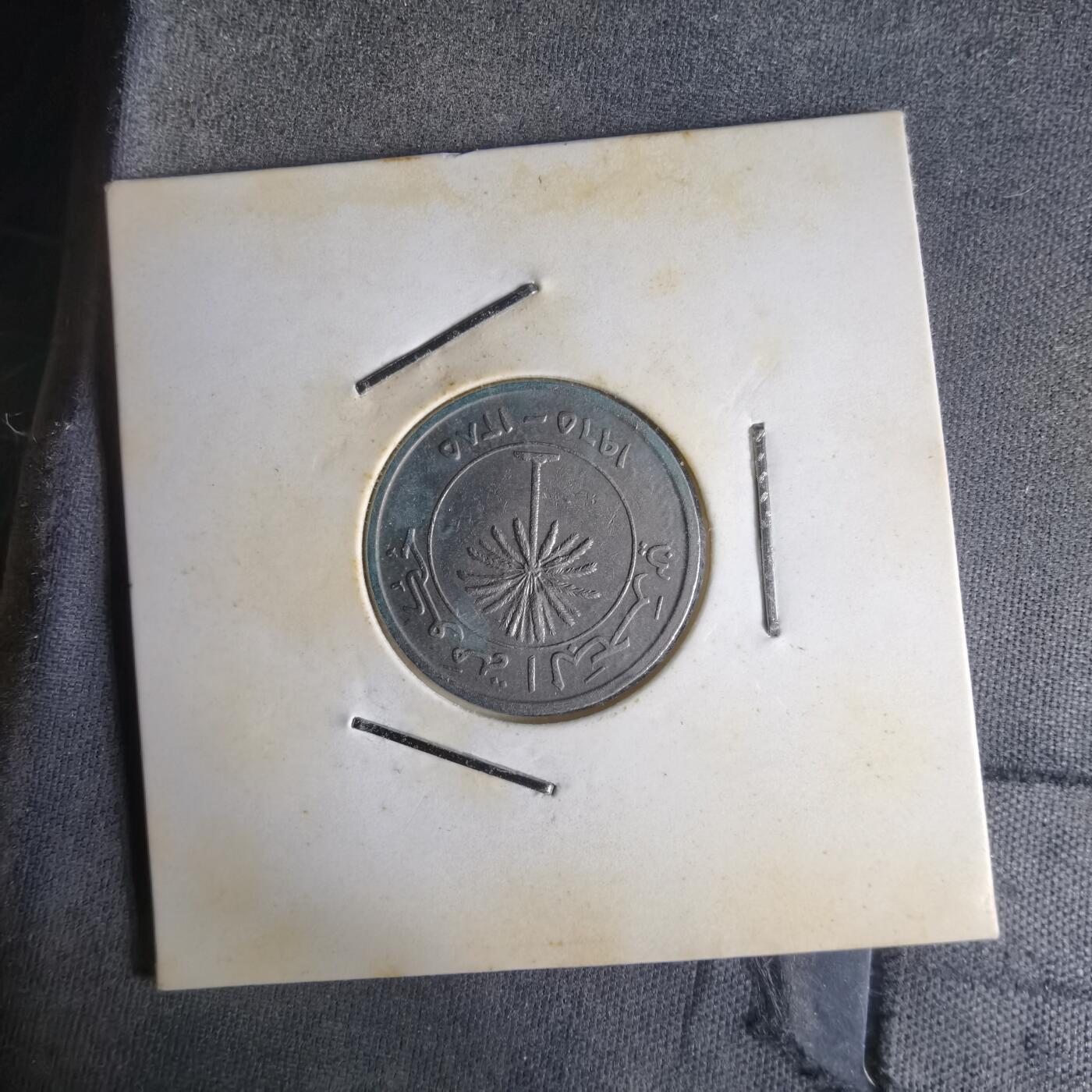 沼泽如烟--第1014场