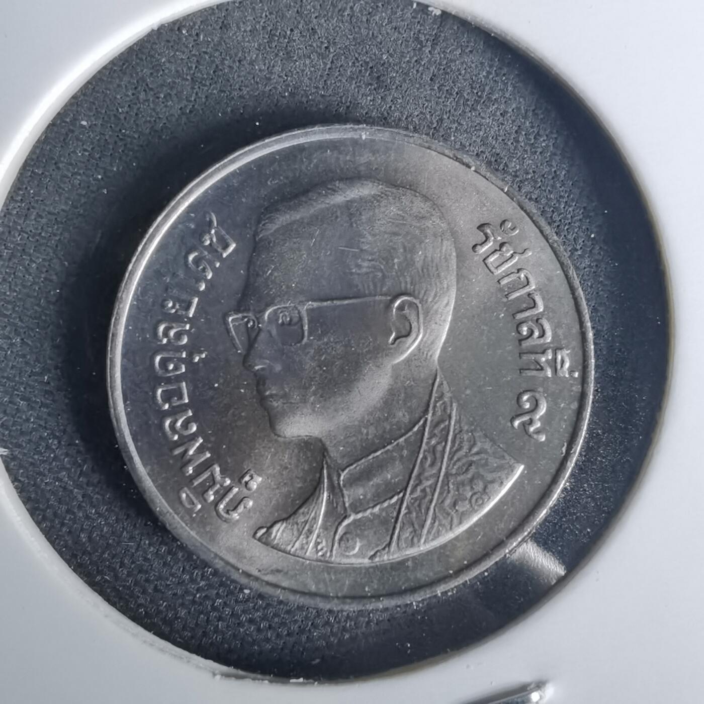 沼泽如烟--第1015场 泰国