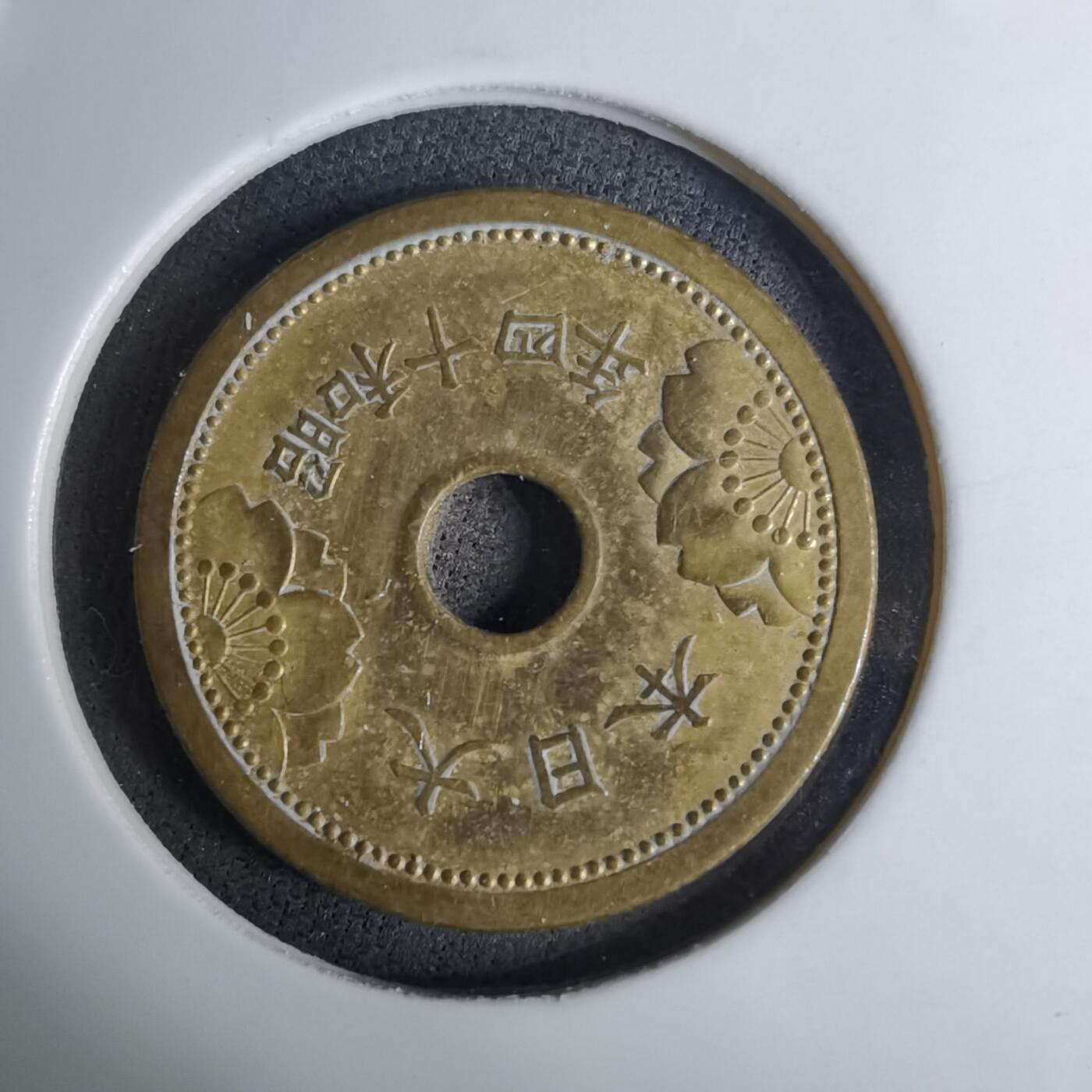 沼泽如烟--第1016场