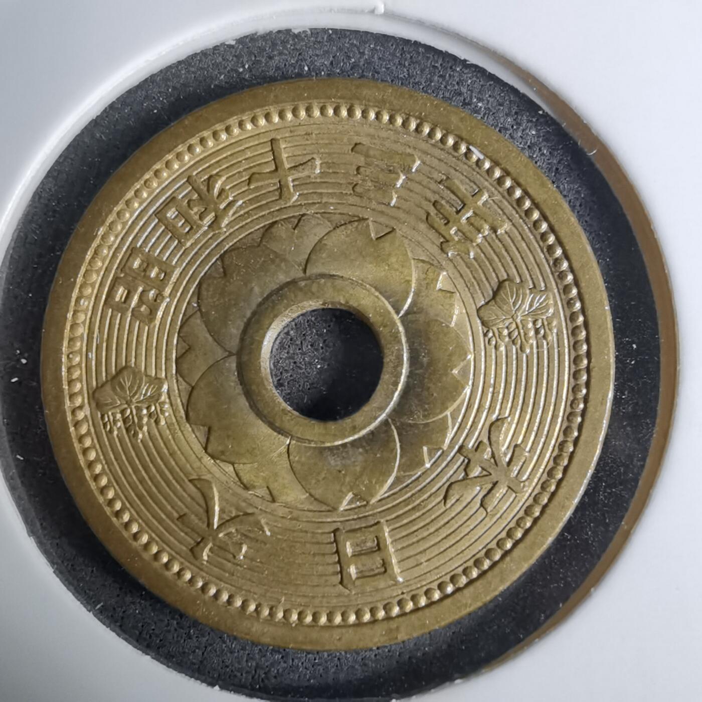 沼泽如烟--第1016场