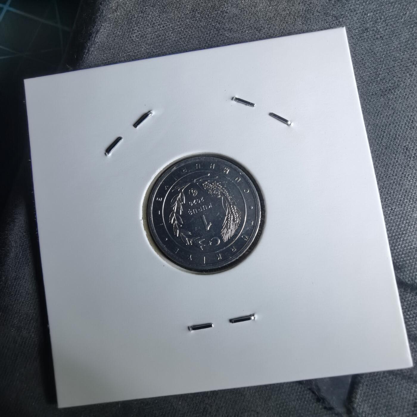 沼泽如烟--第1016场 土耳其2020年1库鲁小鸟系列纪念币