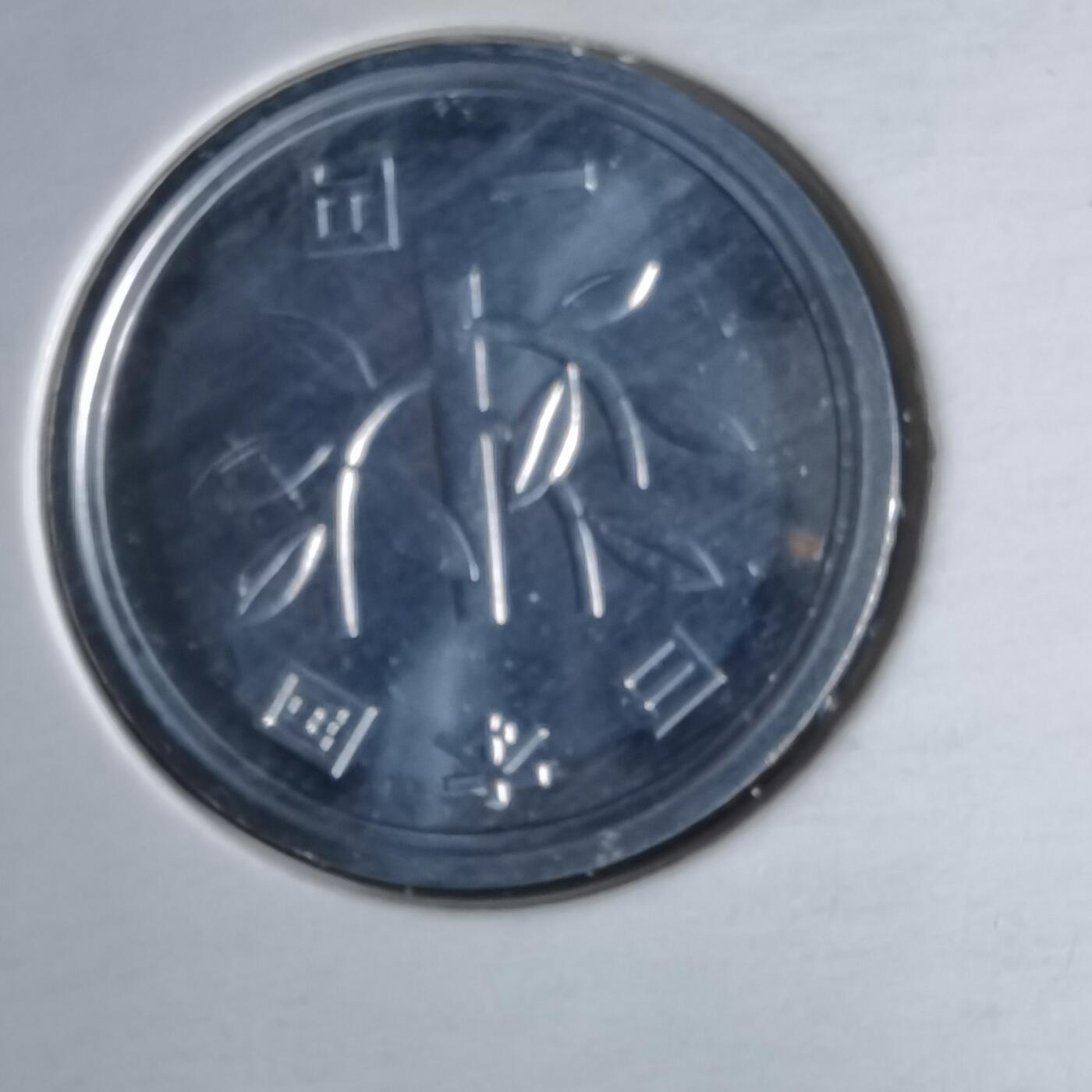 沼泽如烟--第1016场