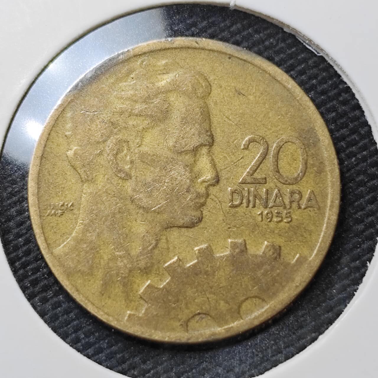 KK钱币收藏小铺   第404期 2月预留时间 周末发货  1955南斯拉夫20第纳尔铜币