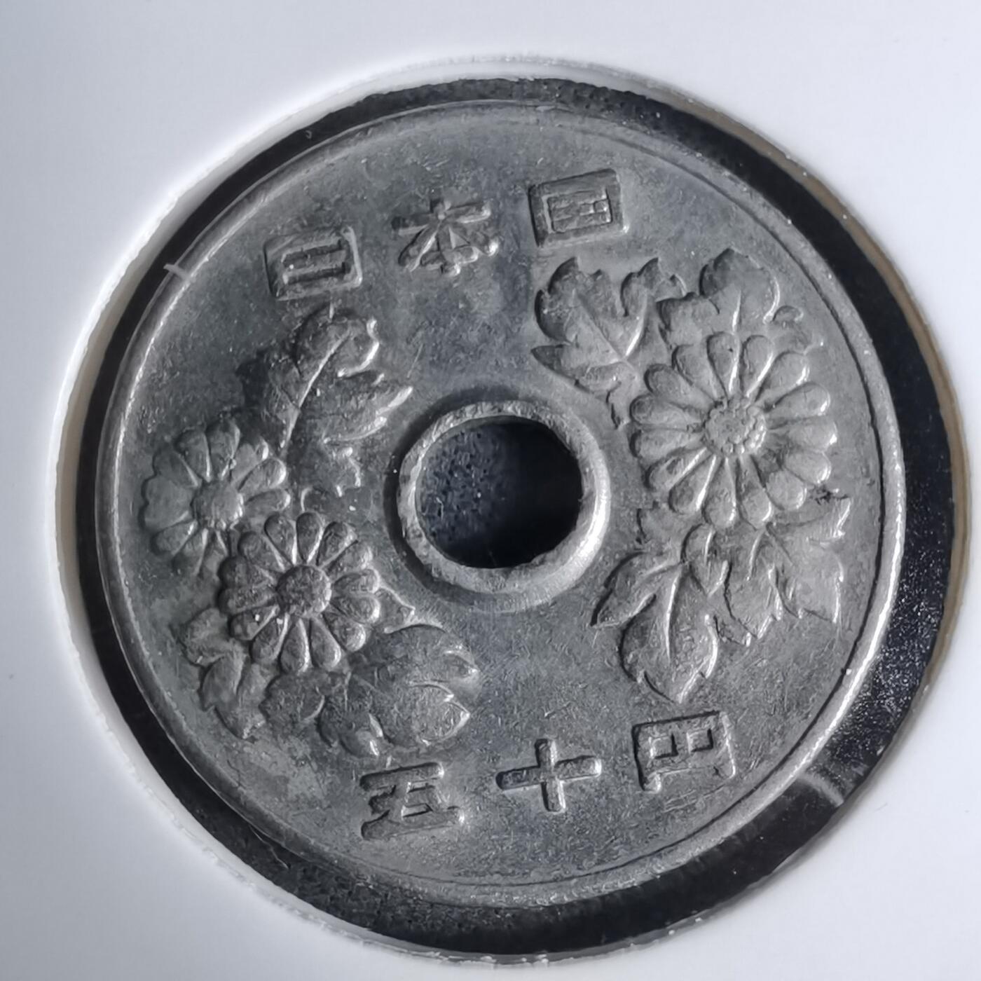 沼泽如烟--第1016场