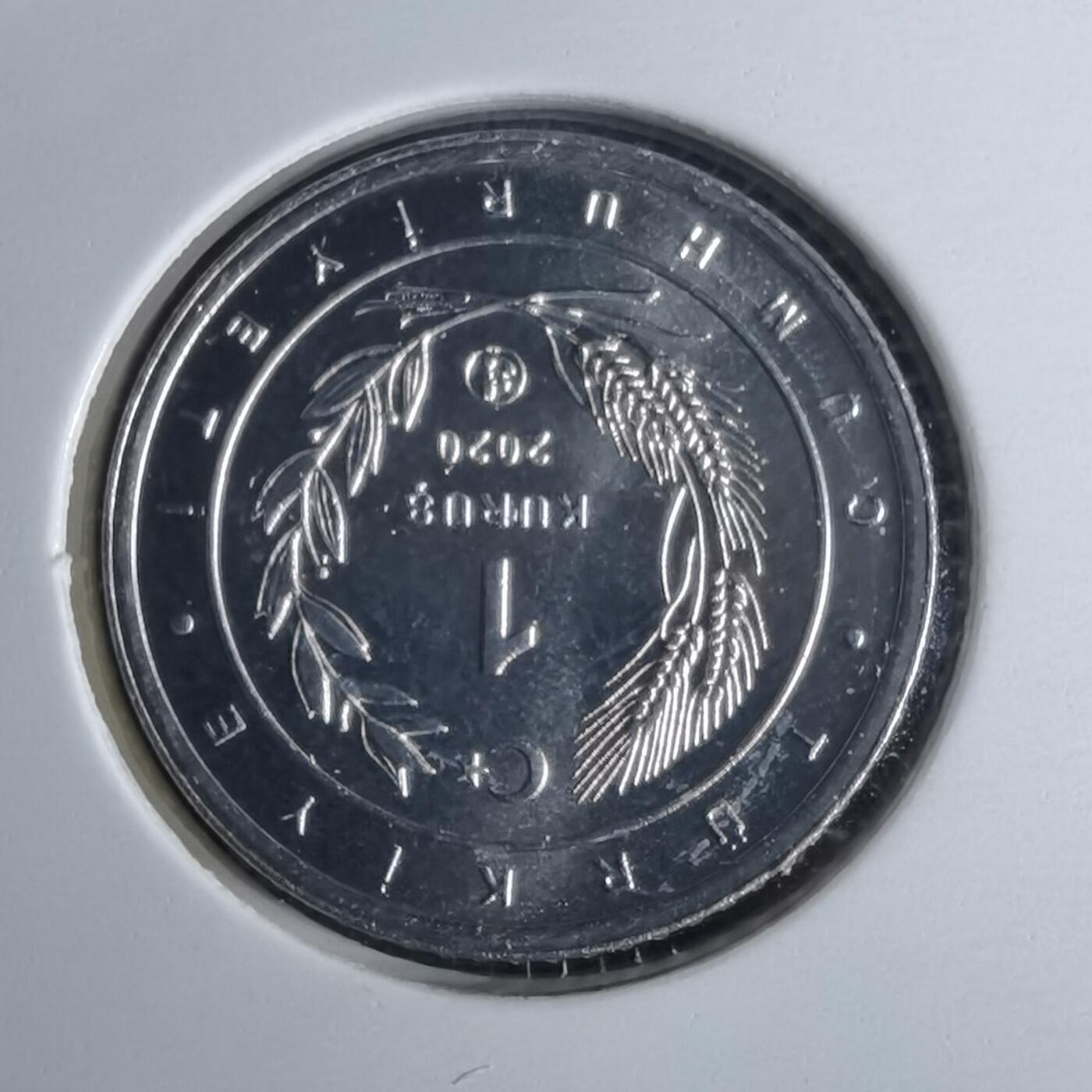 沼泽如烟--第1016场 土耳其2020年1库鲁小鸟系列纪念币