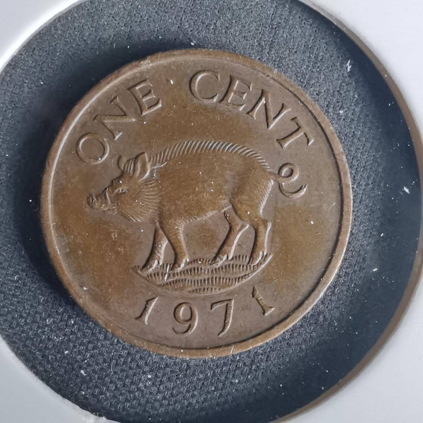 沼泽如烟--第1015场 百慕大1971年一分