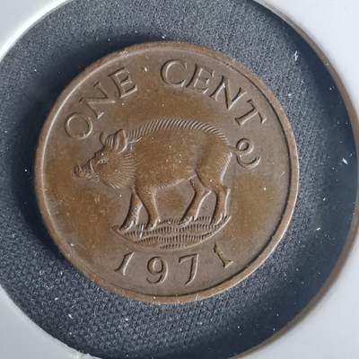 沼泽如烟--第1015场 - 百慕大1971年一分