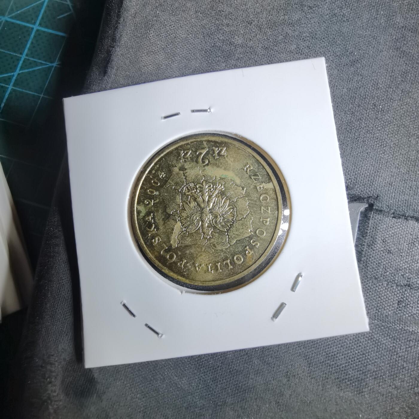 沼泽如烟--第1016场