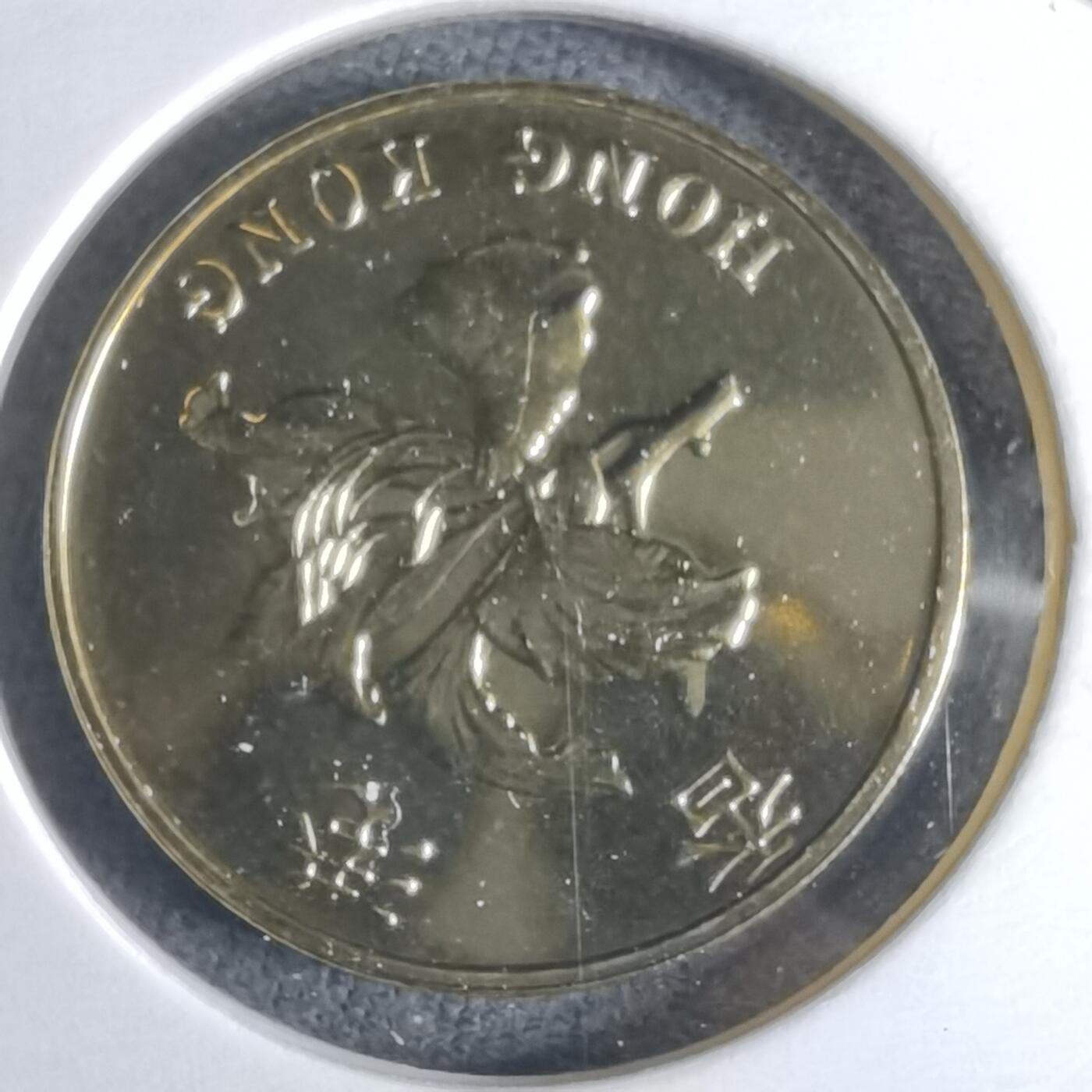 沼泽如烟--第1016场