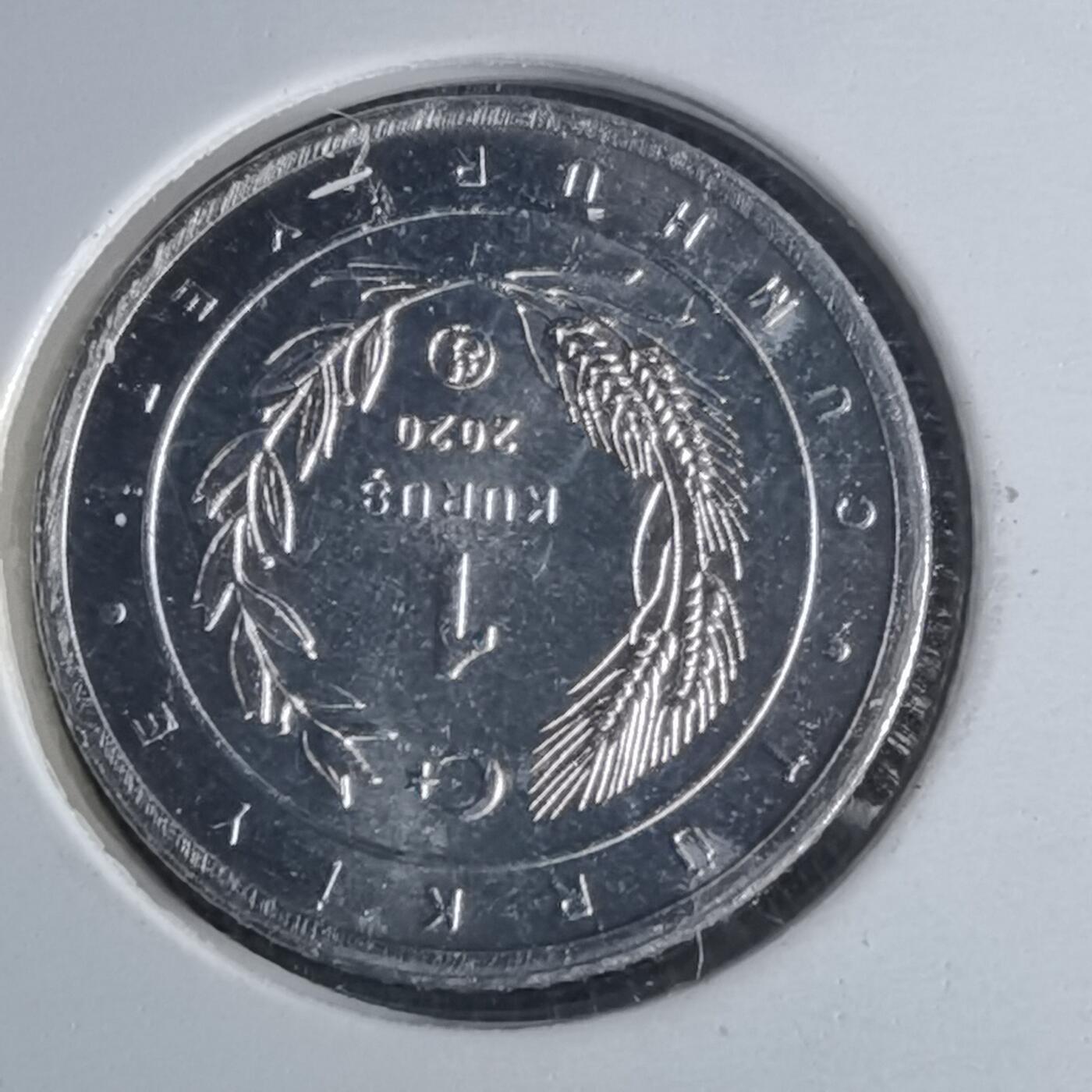 沼泽如烟--第1016场 土耳其2020年1库鲁小鸟系列纪念币