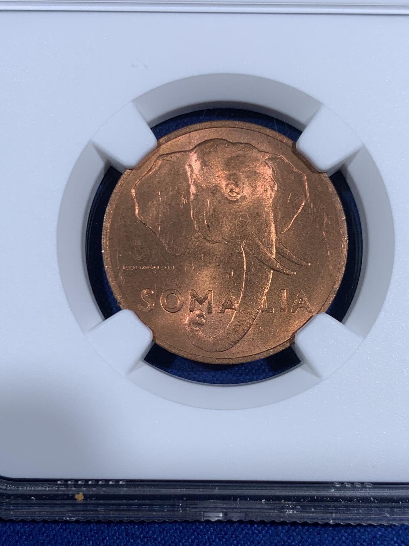 《竞宝斋》第468场 周日，周一 2场连拍 （全场包邮）欢迎送拍 NGC MS64RD 1950年意属索马里5分铜币 大象!车轮光状态漂亮！