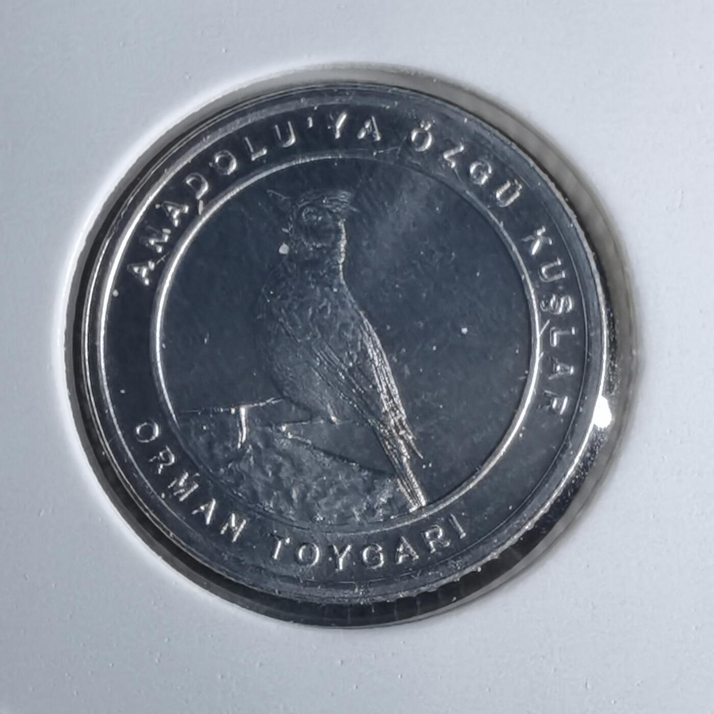 沼泽如烟--第1016场 土耳其2020年1库鲁小鸟系列纪念币 