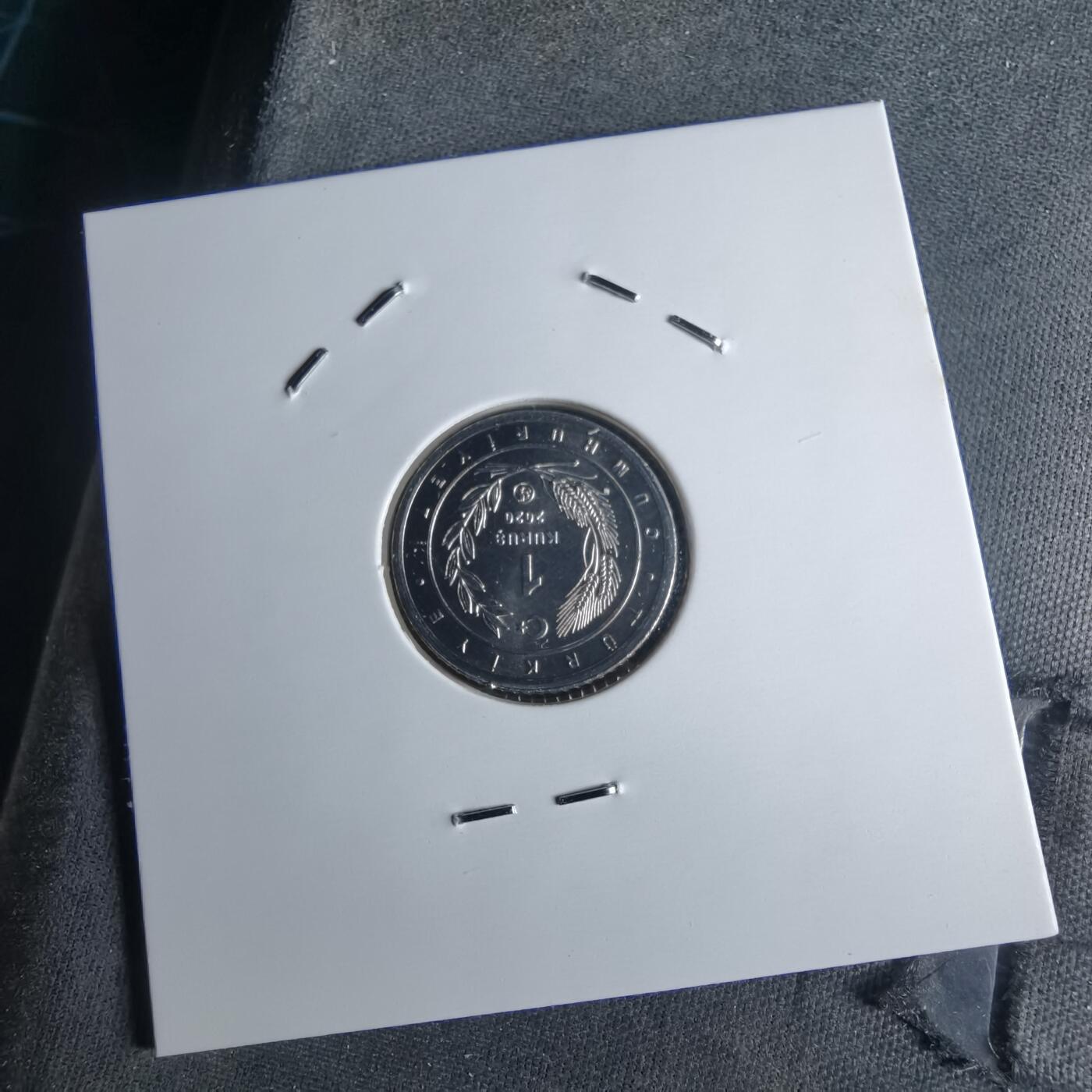 沼泽如烟--第1016场 土耳其2020年1库鲁小鸟系列纪念币