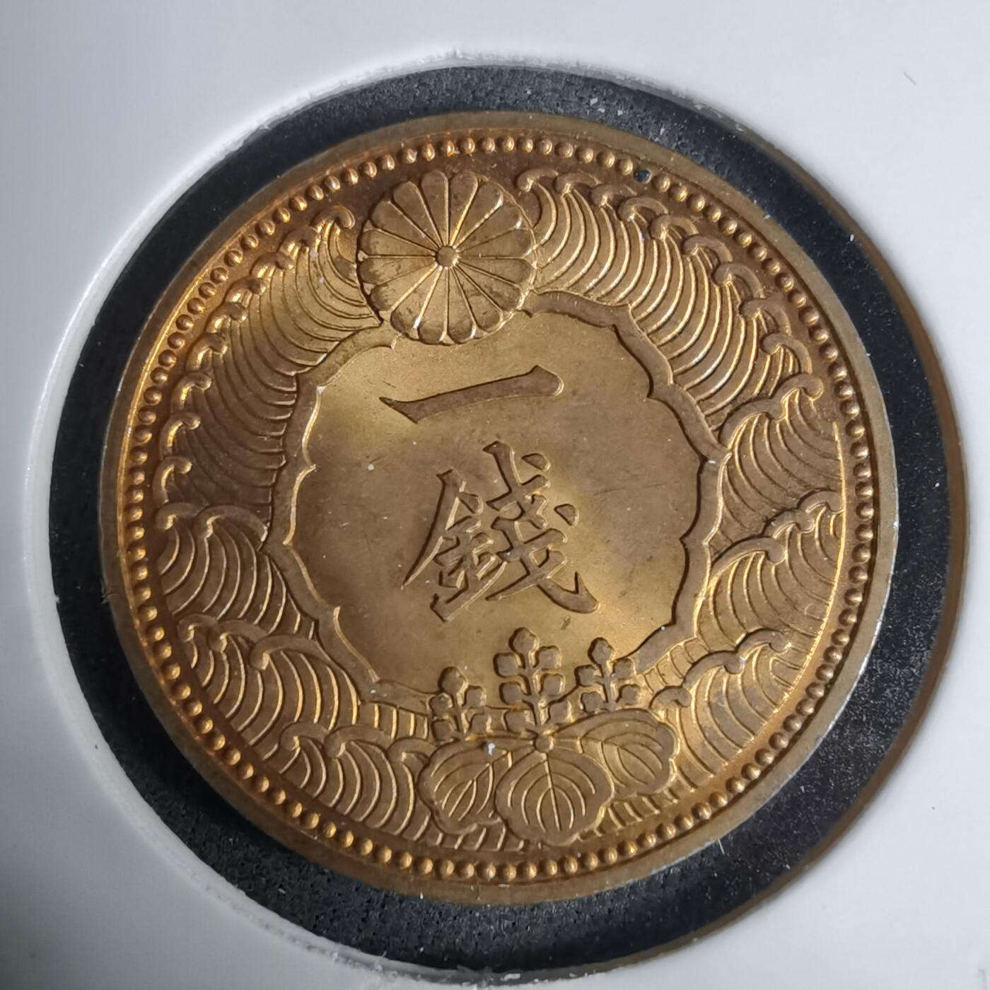 沼泽如烟--第1016场