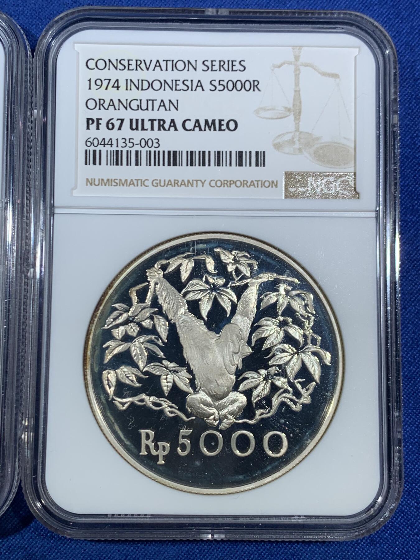 《竞宝斋》第468场 周日，周一 2场连拍 （全场包邮）欢迎送拍 两枚一组 NGC PF66-67UC 印度尼西亚1974年野生珍稀动物PROOF银币 爪哇虎+红毛猩猩 精致漂亮