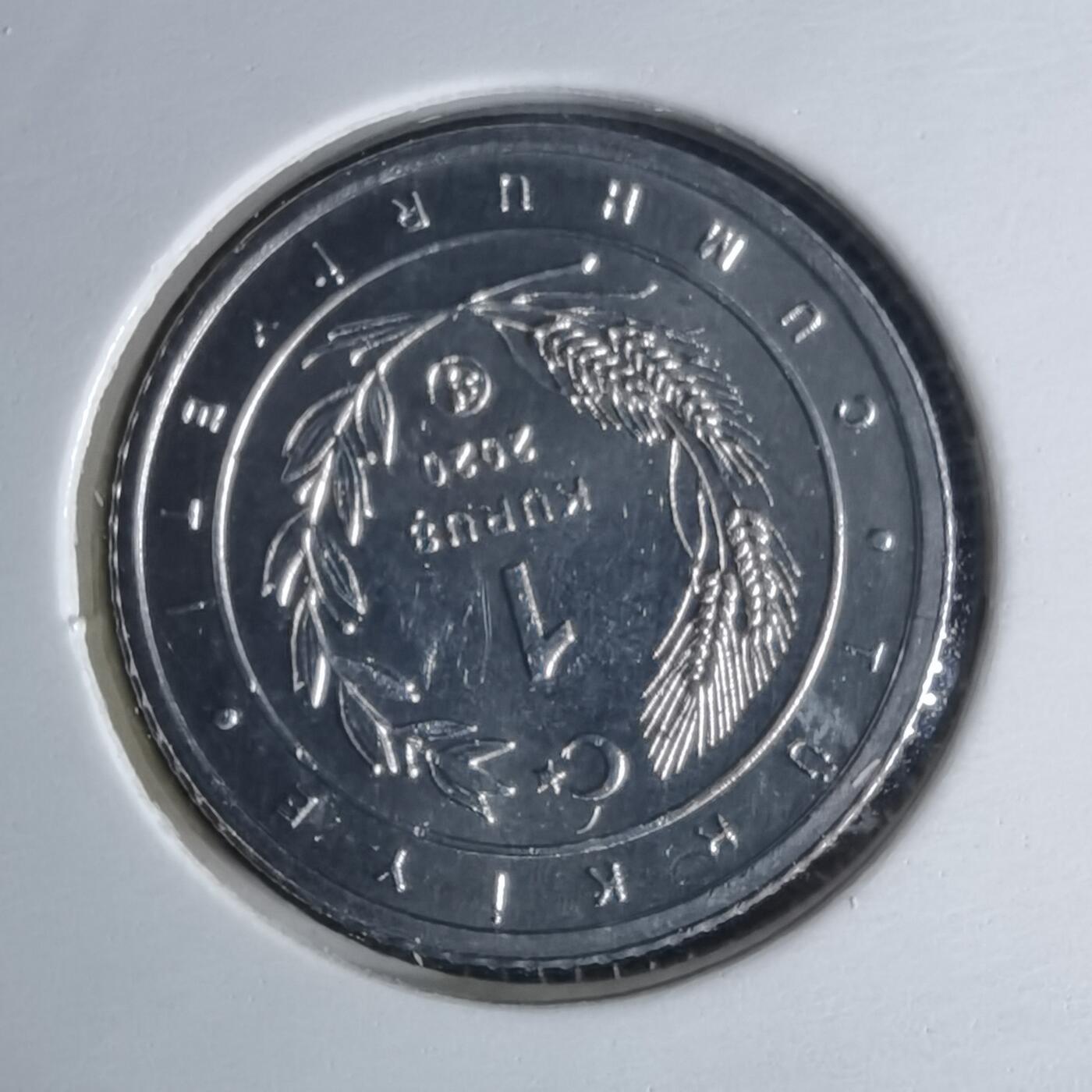 沼泽如烟--第1016场 土耳其2020年1库鲁小鸟系列纪念币