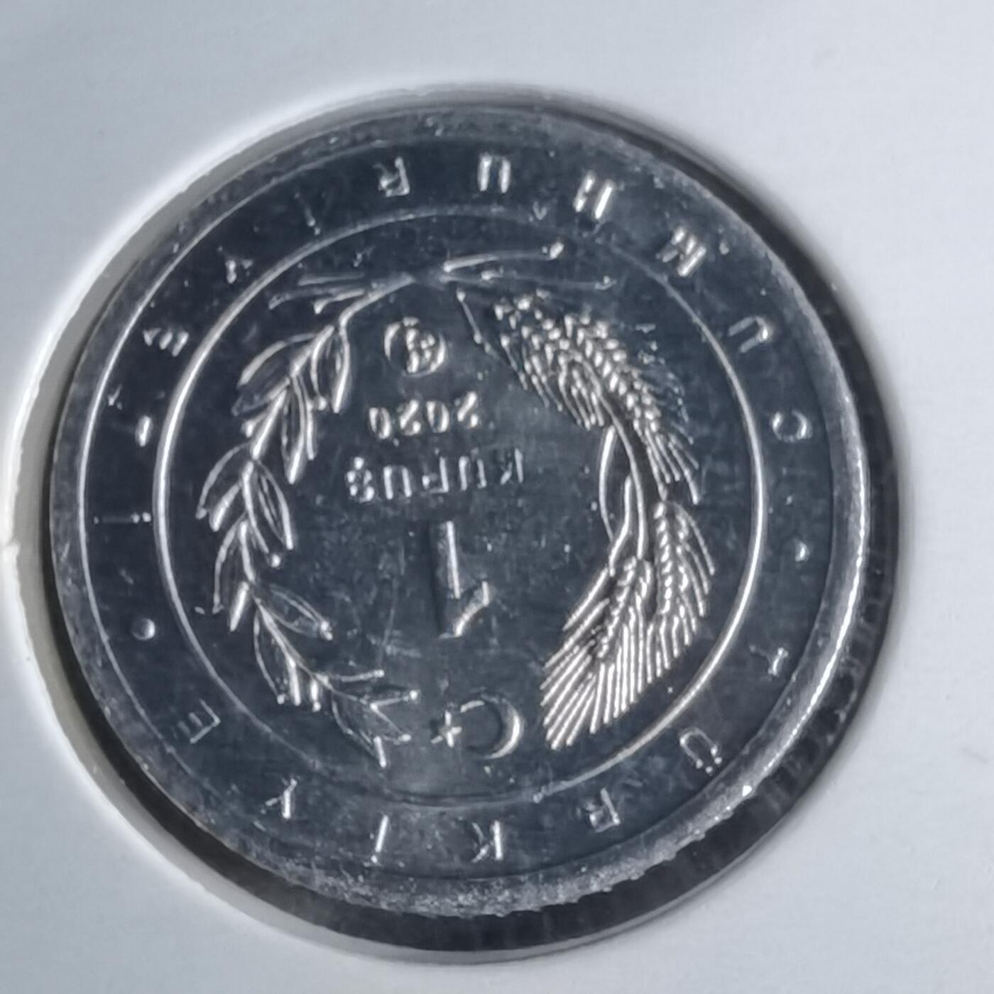 沼泽如烟--第1016场 土耳其2020年1库鲁小鸟系列纪念币