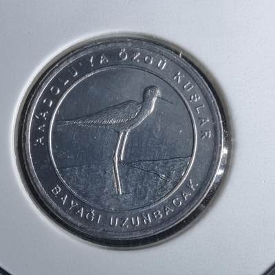 沼泽如烟--第1016场 - 土耳其2020年1库鲁小鸟系列纪念币