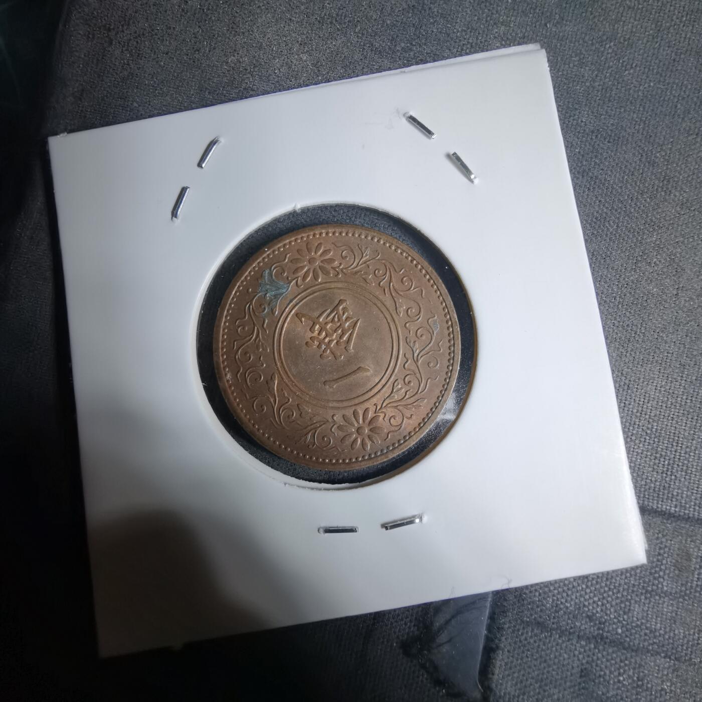 沼泽如烟--第1016场