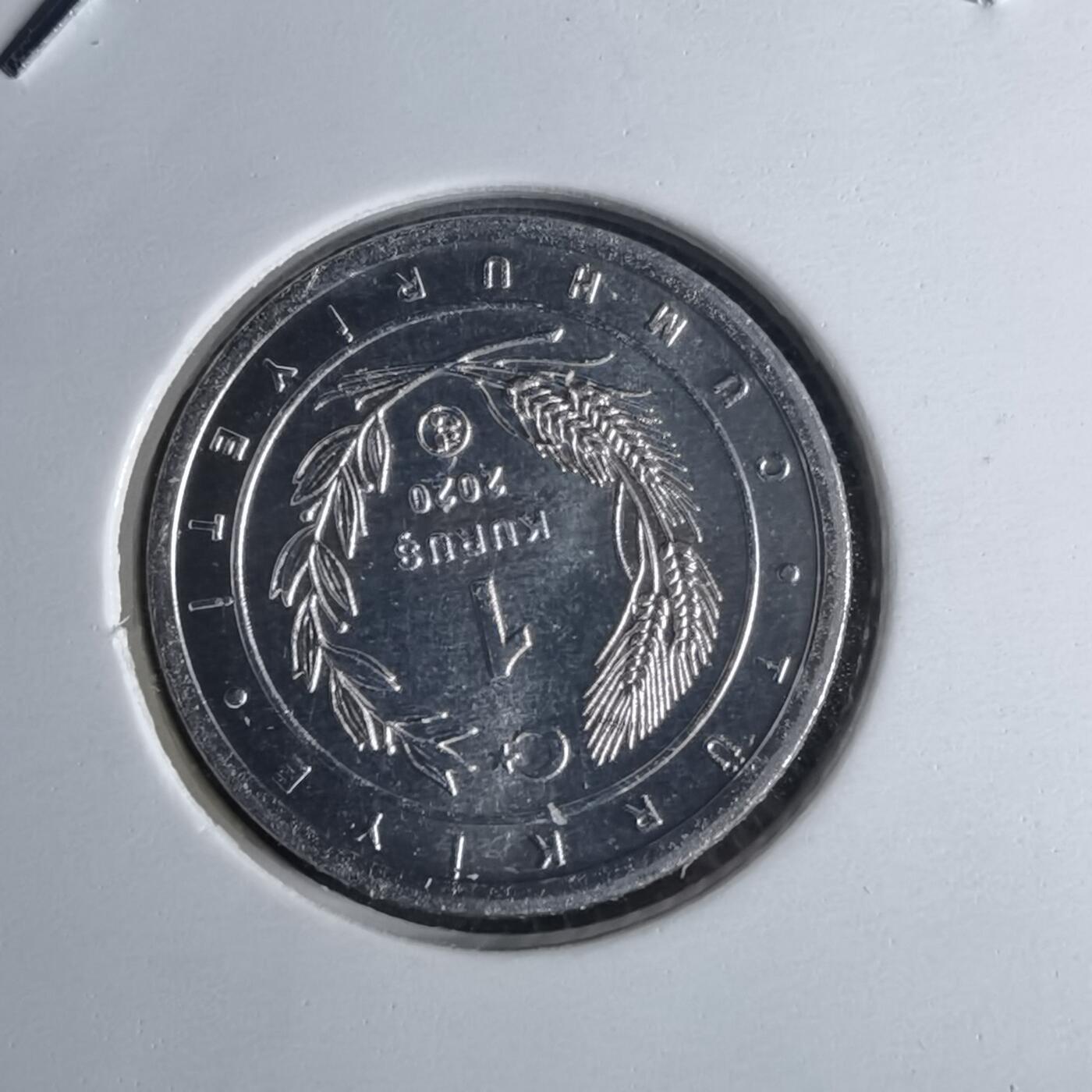 沼泽如烟--第1016场 土耳其2020年1库鲁小鸟系列纪念币