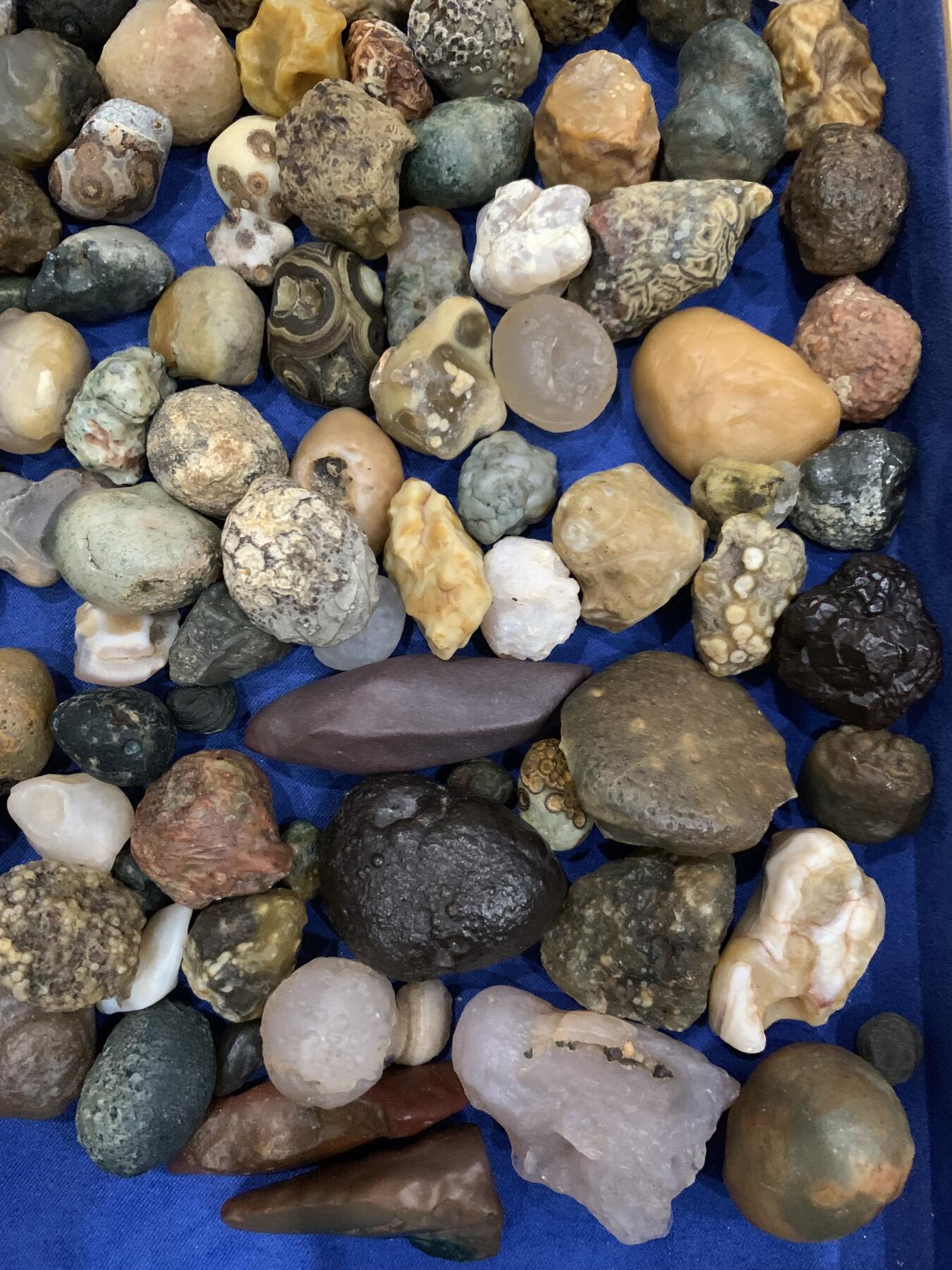 《竞宝斋》第468场 周日，周一 2场连拍 （全场包邮）欢迎送拍