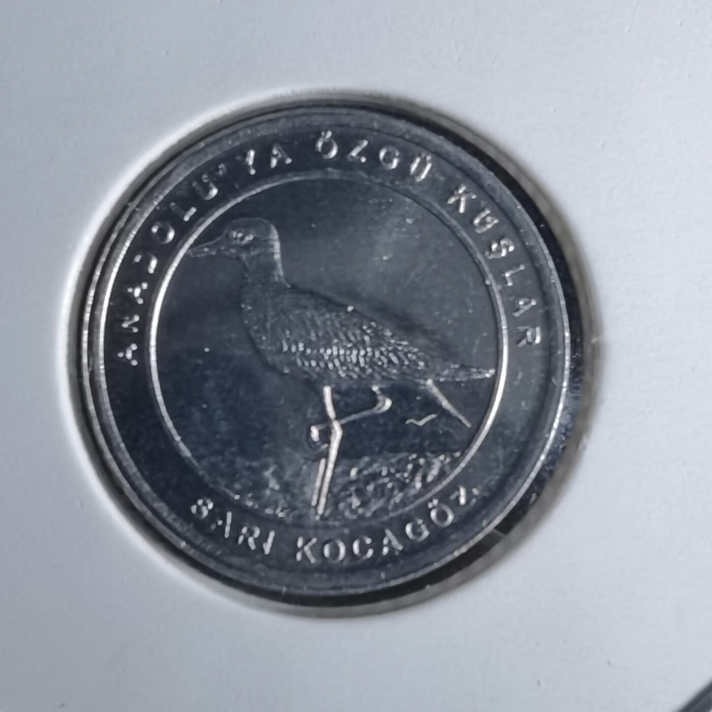 沼泽如烟--第1016场 土耳其2020年1库鲁小鸟系列纪念币