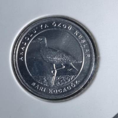 沼泽如烟--第1016场 - 土耳其2020年1库鲁小鸟系列纪念币