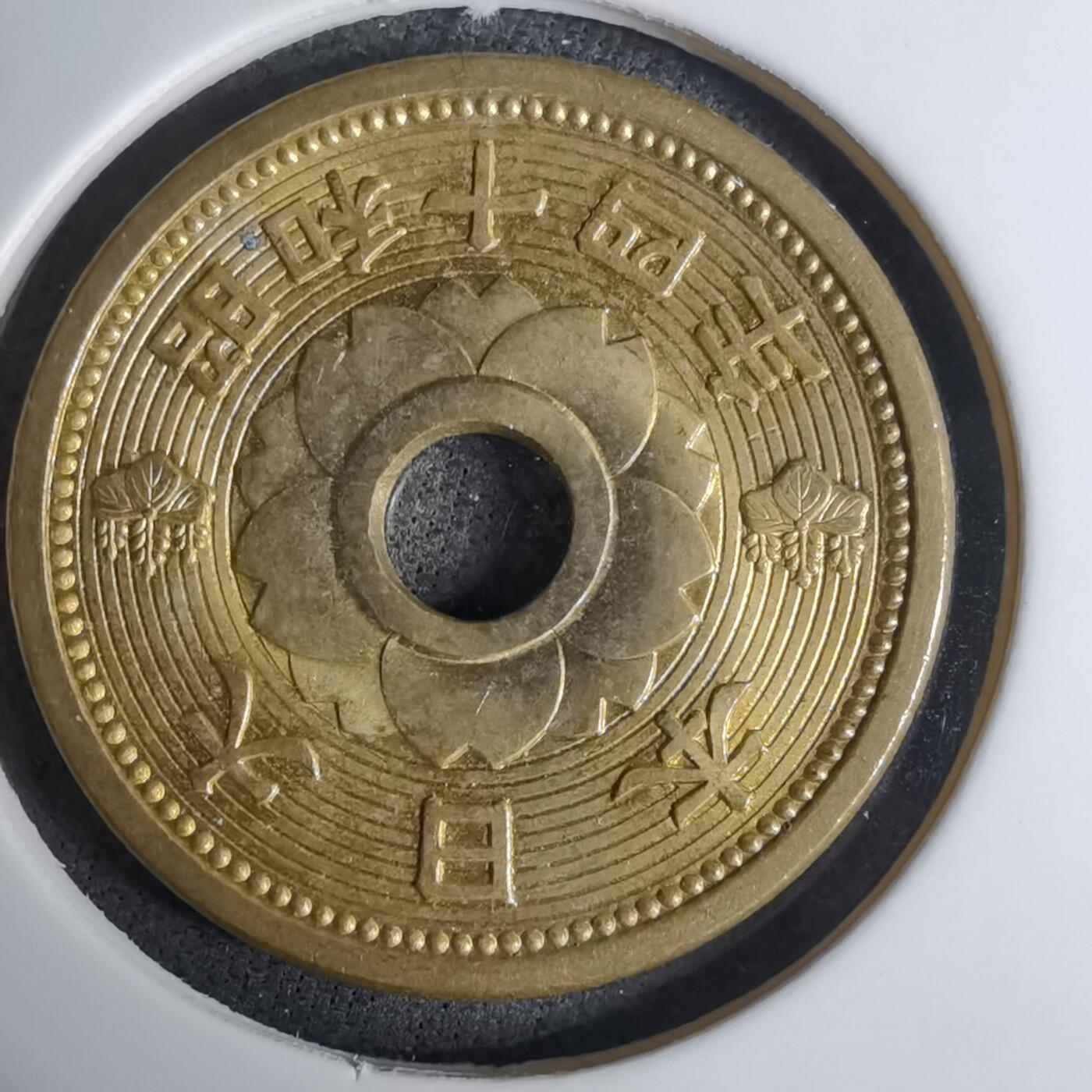 沼泽如烟--第1016场