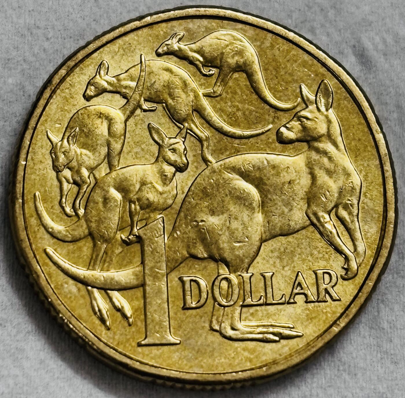 文馨钱币收藏第 296 场，长期接代拍业务 原光品相 2025 年澳大利亚 一元，查尔斯头像少见