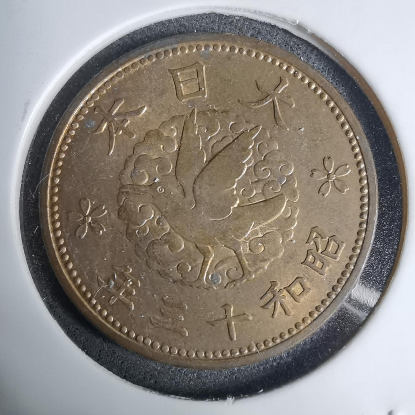 沼泽如烟--第1016场