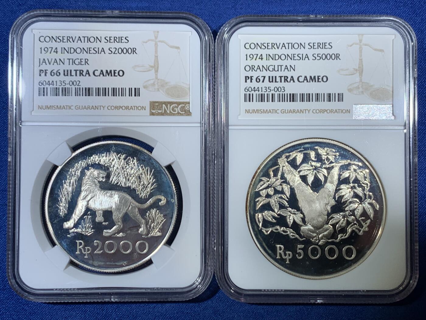 《竞宝斋》第468场 周日，周一 2场连拍 （全场包邮）欢迎送拍 两枚一组 NGC PF66-67UC 印度尼西亚1974年野生珍稀动物PROOF银币 爪哇虎+红毛猩猩 精致漂亮