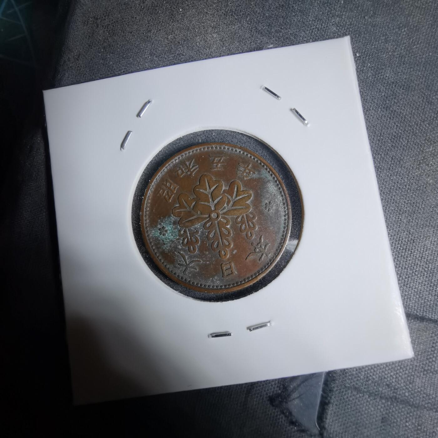 沼泽如烟--第1016场