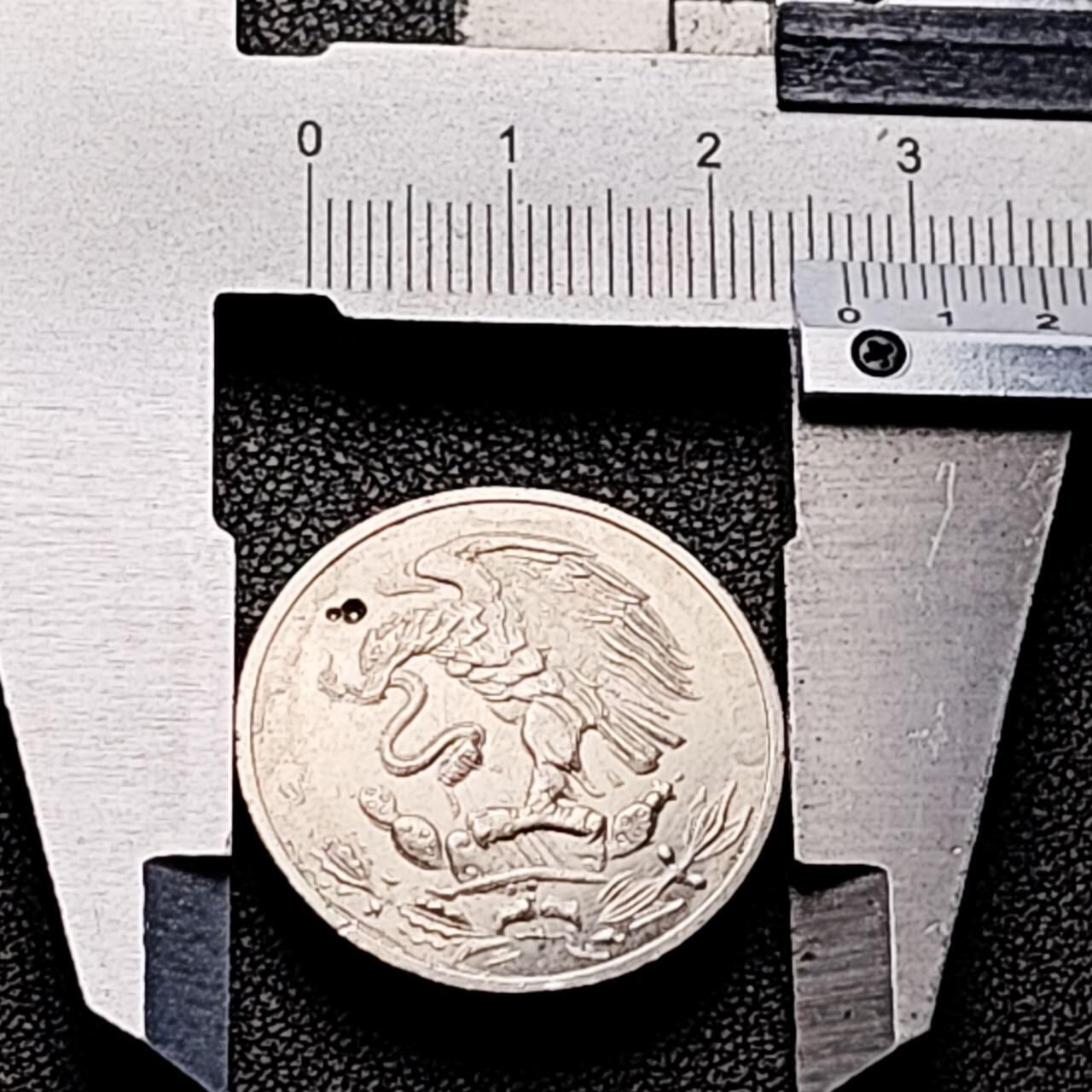 泉币菌-第205场-拍品多 请提前出价 代币