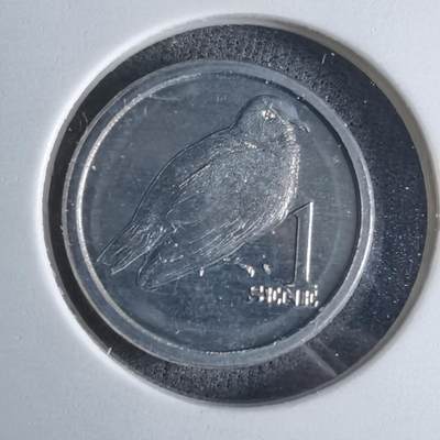 沼泽如烟--第1016场 - 萨摩亚2020年一分小鸟