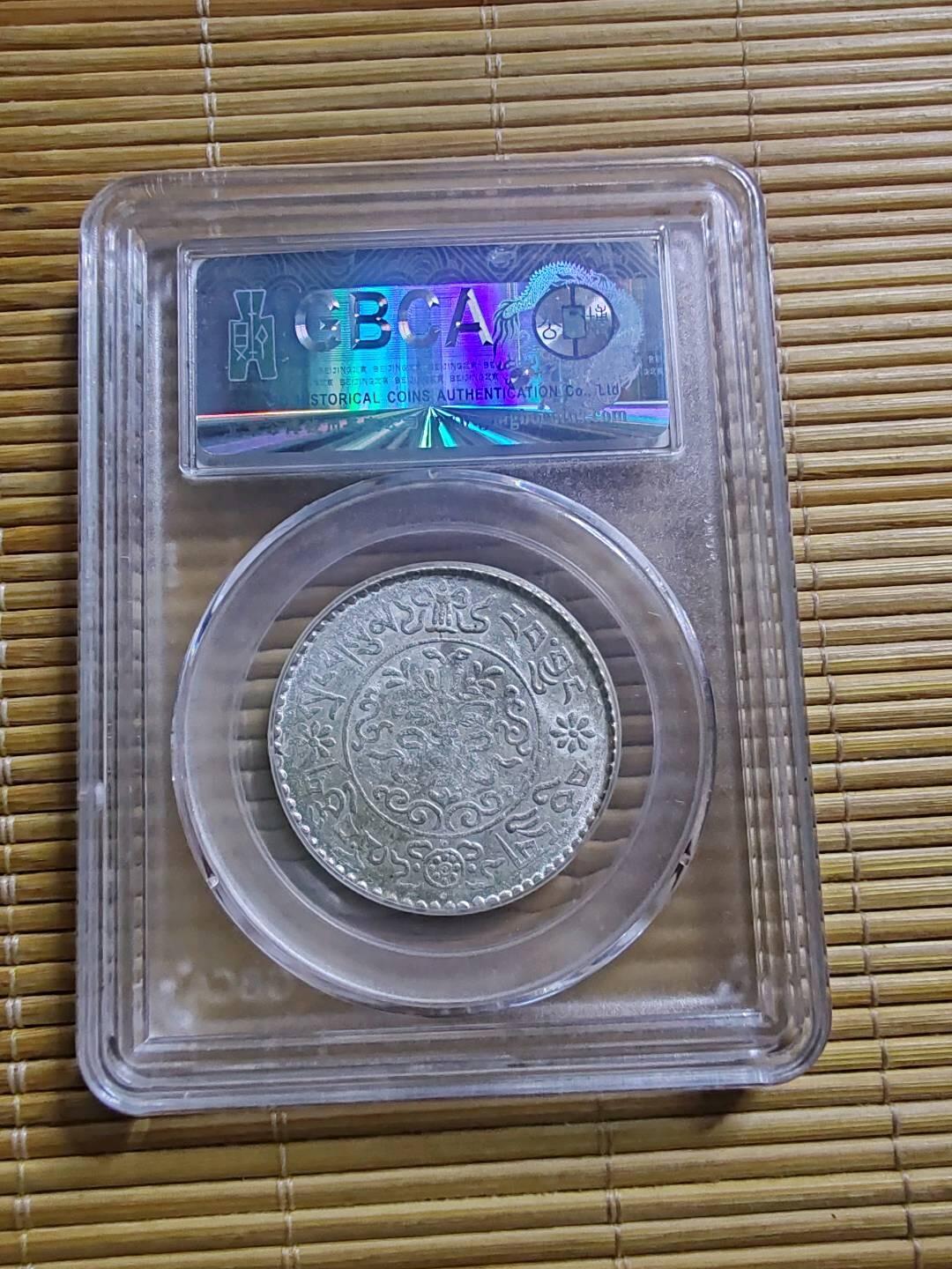 公博61分西藏三两桑松果木三两