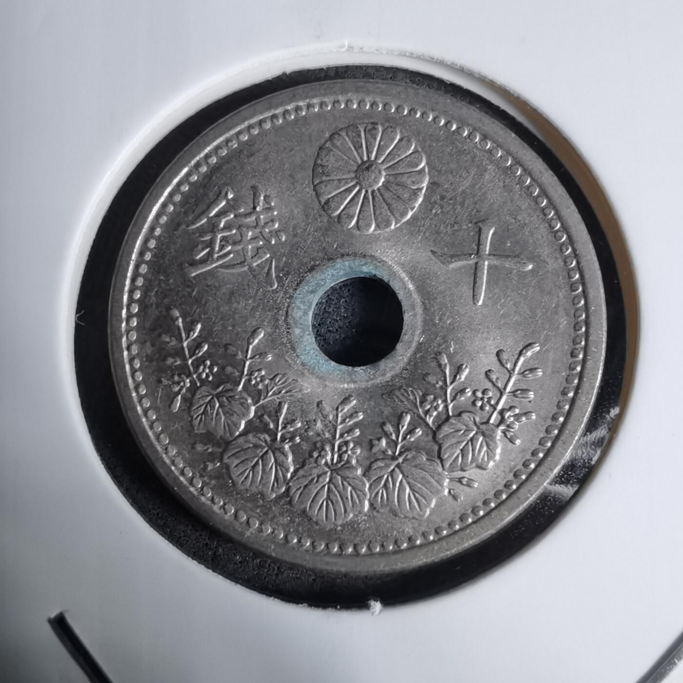 沼泽如烟--第1016场