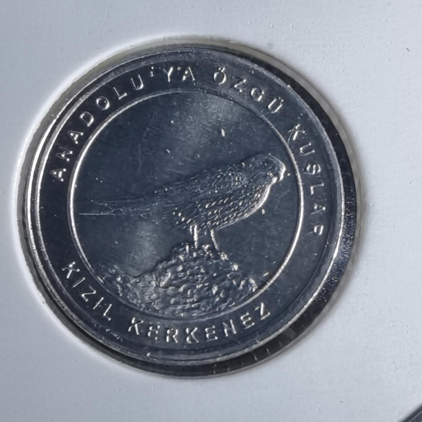 沼泽如烟--第1016场 土耳其2020年1库鲁小鸟系列纪念币