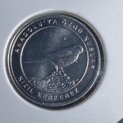 沼泽如烟--第1016场 - 土耳其2020年1库鲁小鸟系列纪念币