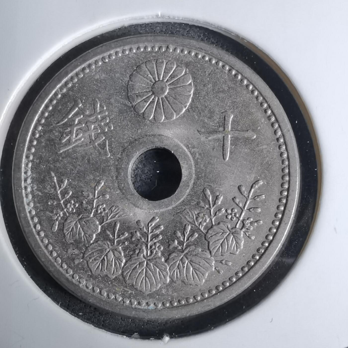 沼泽如烟--第1016场