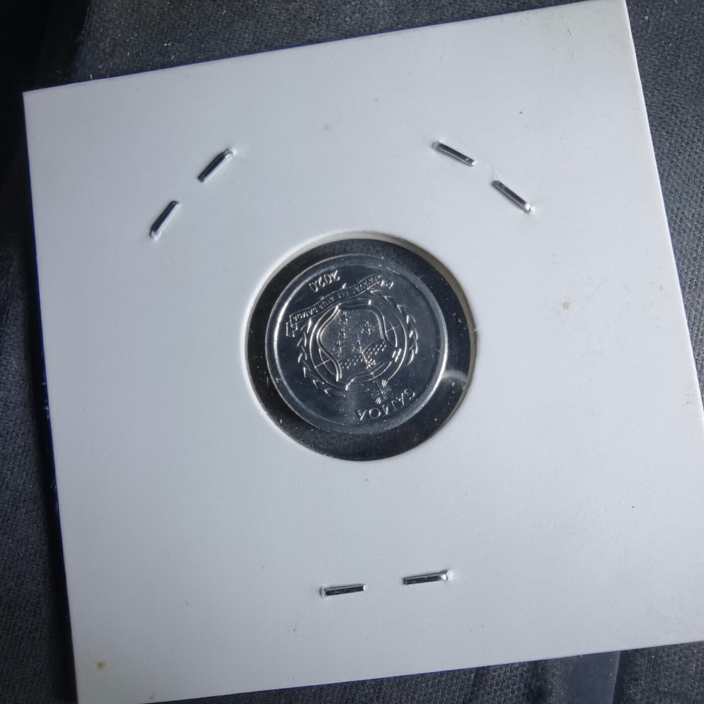 沼泽如烟--第1016场