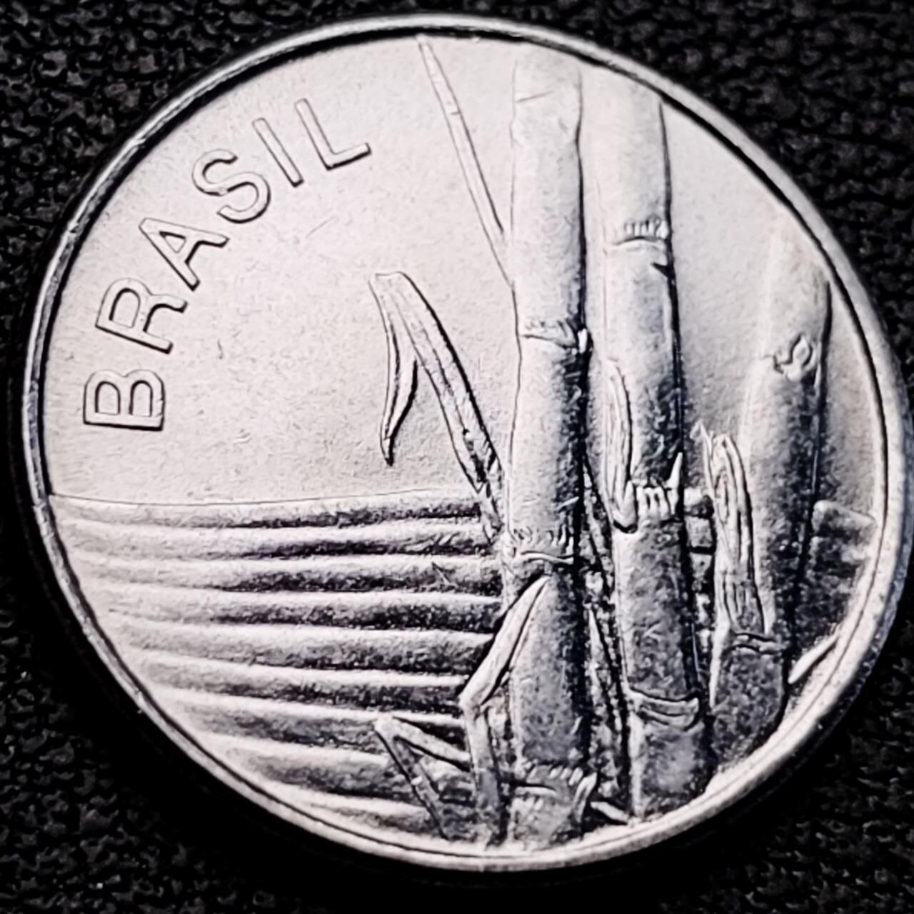 泉币菌-第205场-拍品多 请提前出价 。