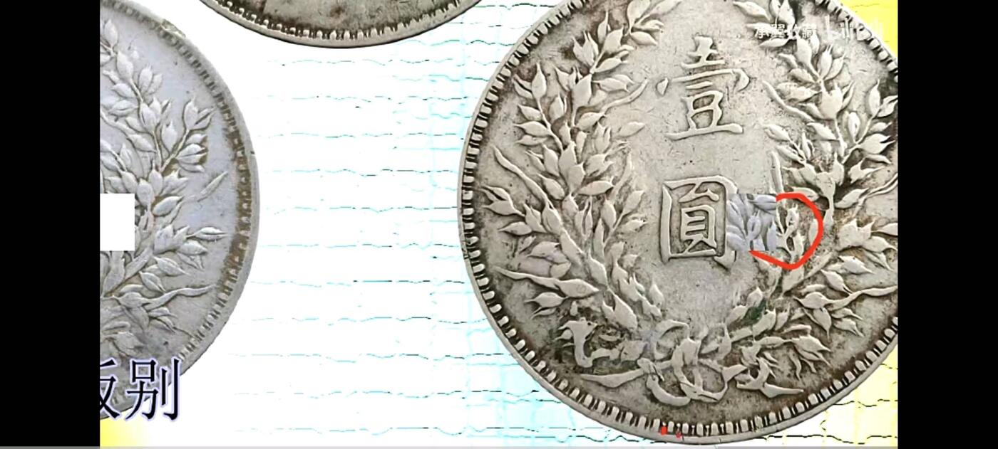 公博58十年八背珍惜版别右孕珠下五珠