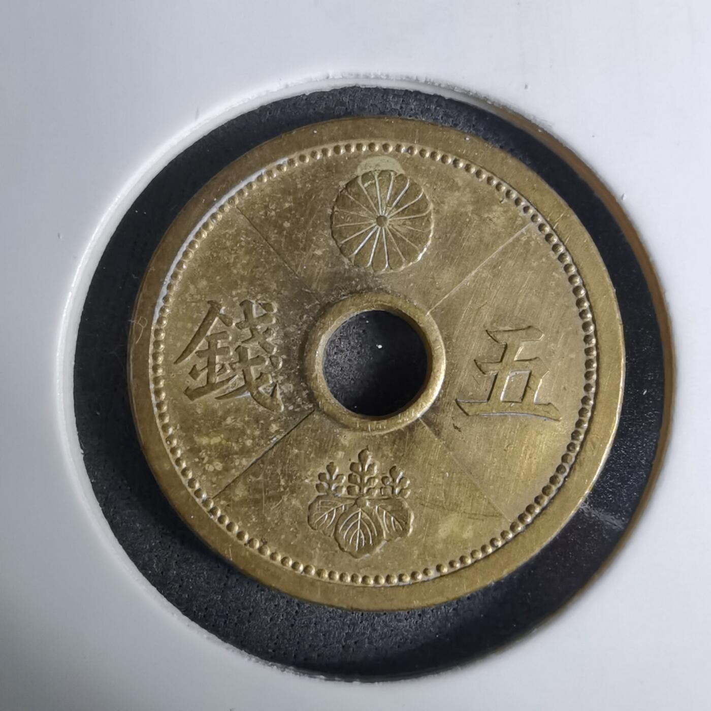 沼泽如烟--第1016场