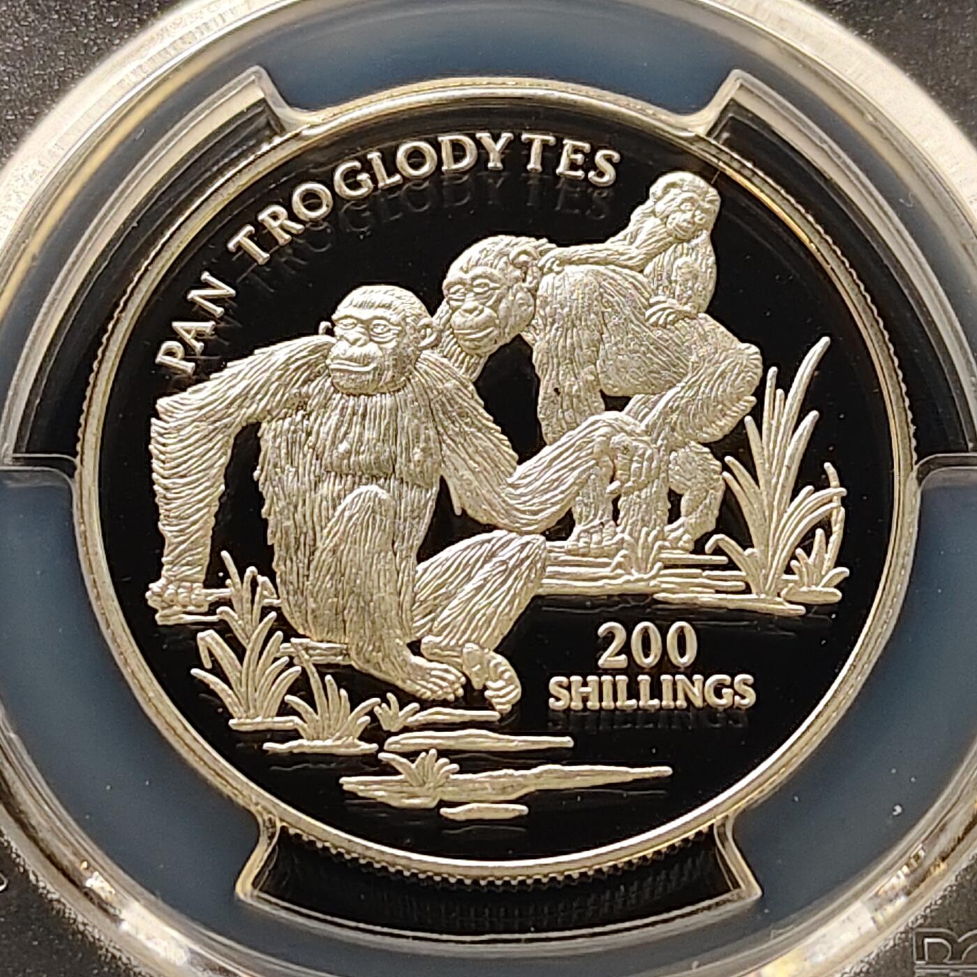 【全场包邮】纯粹捡漏拍511场 【收藏级·冠军分】坦桑尼亚1999年200先令黑猩猩精制纪念银币【33.9毫米15.4克92.5%】-PCGS PR69 DCAM