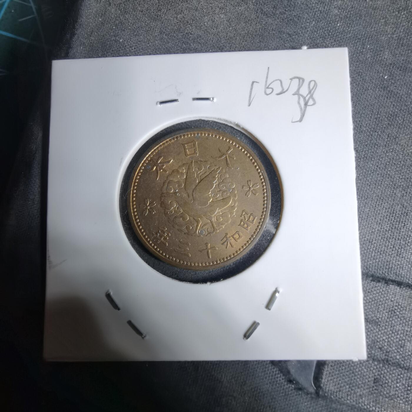 沼泽如烟--第1016场