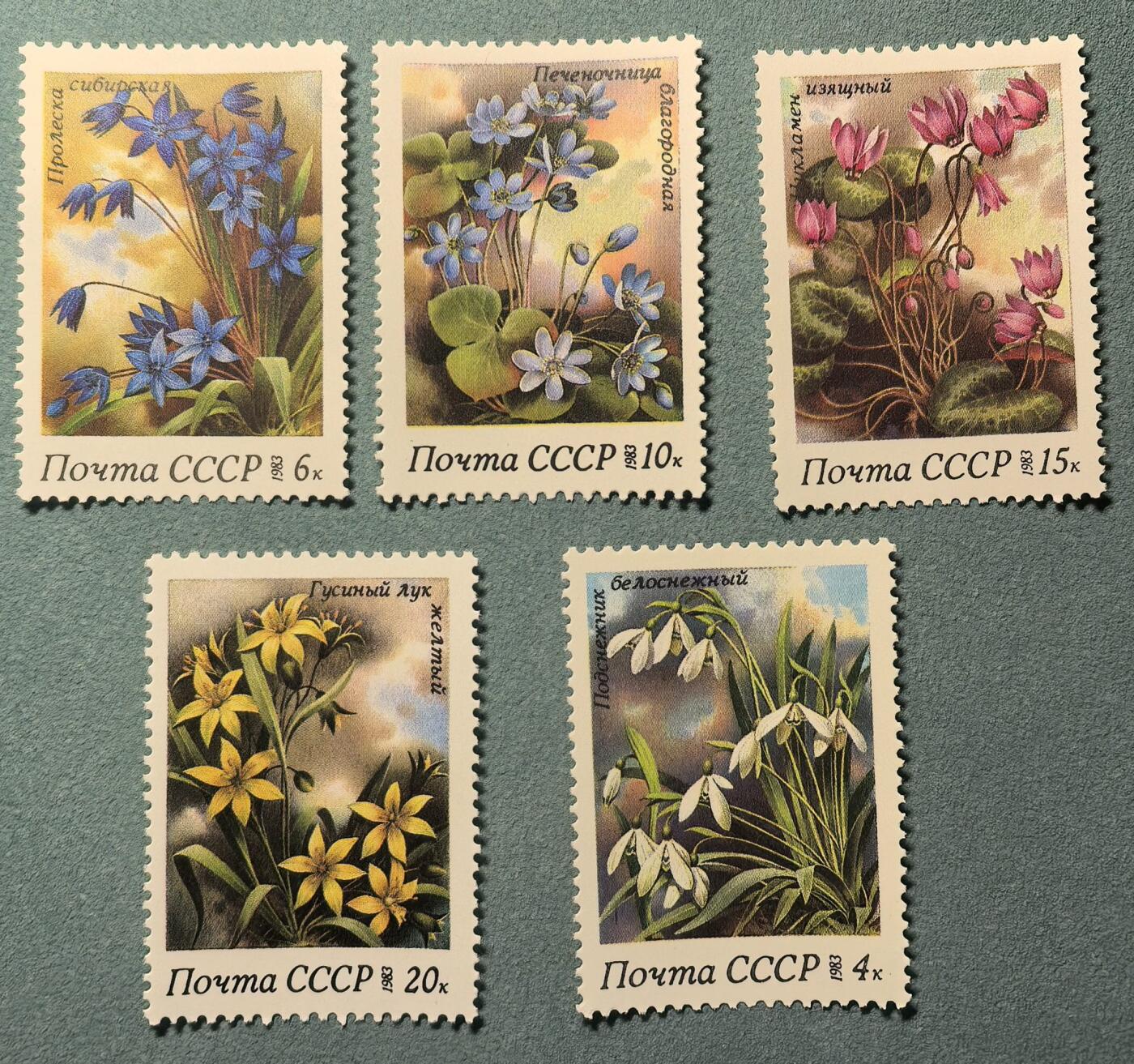 盛世勋华——号角文化勋章邮票专场拍卖第308期 苏联邮政1983年发行 5全新票 春天的花