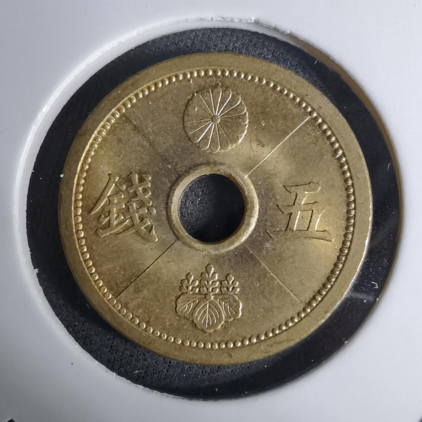 沼泽如烟--第1016场